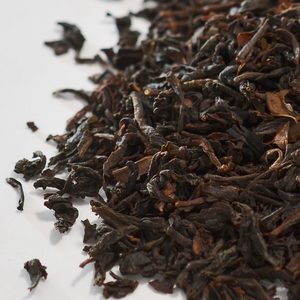 Gclef ダージリン 1st カングラ Gclef ダージリン 1st カングラ