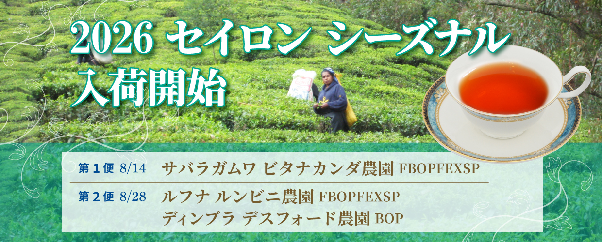 TEA MARKET Gclef Online Store ティーマーケット ジークレフ