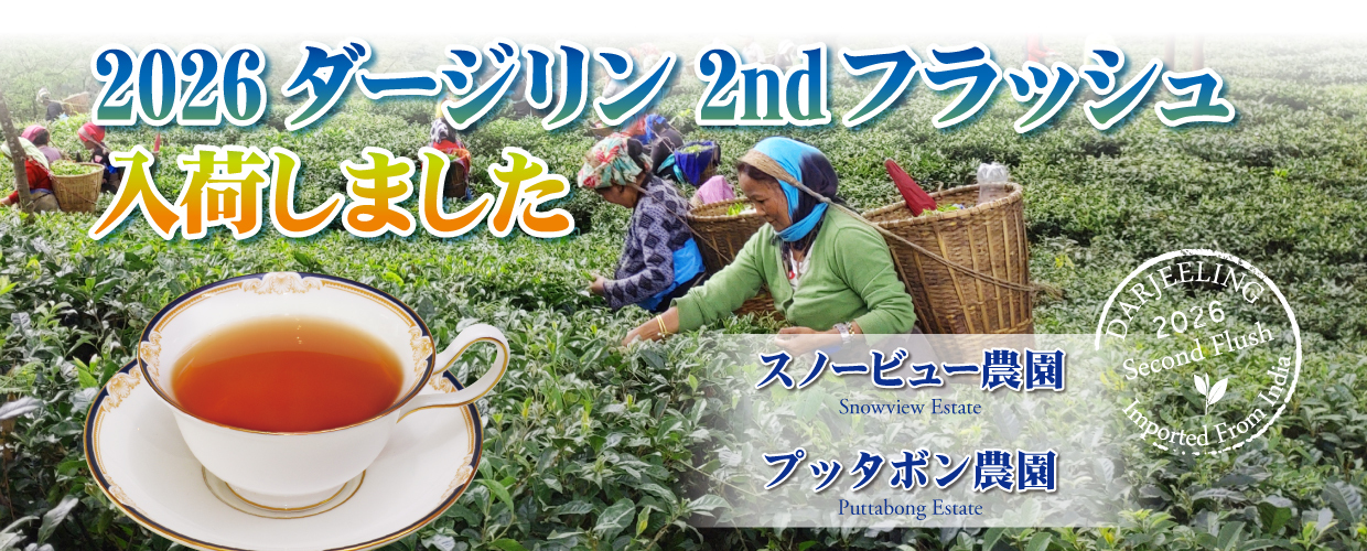 【Gclef】ジークレフ 紅茶 4種セット ネパール・インド ダージリン TEA MARKET Gclef Online Store ティーマーケット ジークレフ