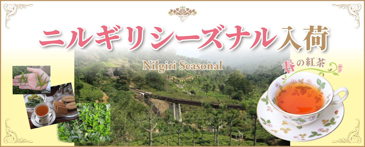 TEA MARKET Gclef Online Store ティーマーケット ジークレフ