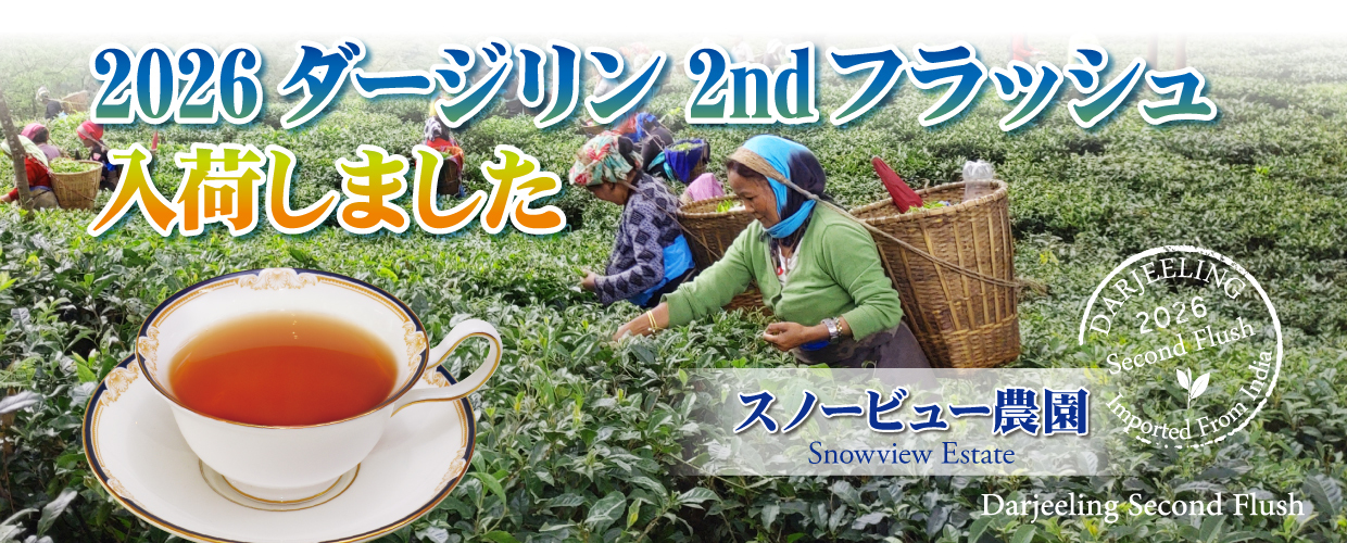 TEA MARKET Gclef Online Store ティーマーケット ジークレフ