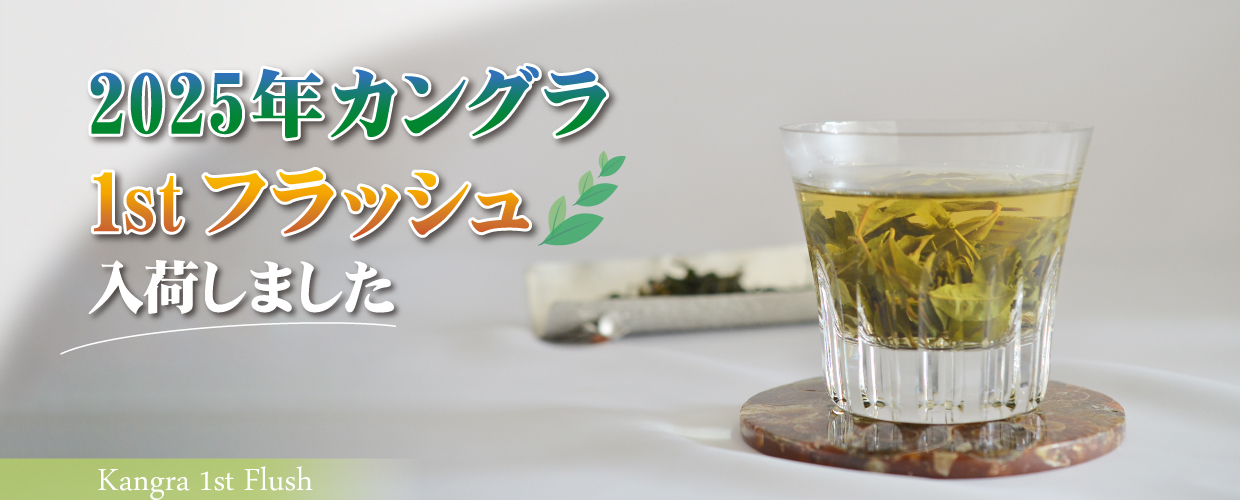 Gclef ダージリン 1st カングラ TEA MARKET Gclef Online Store ティーマーケット ジークレフ