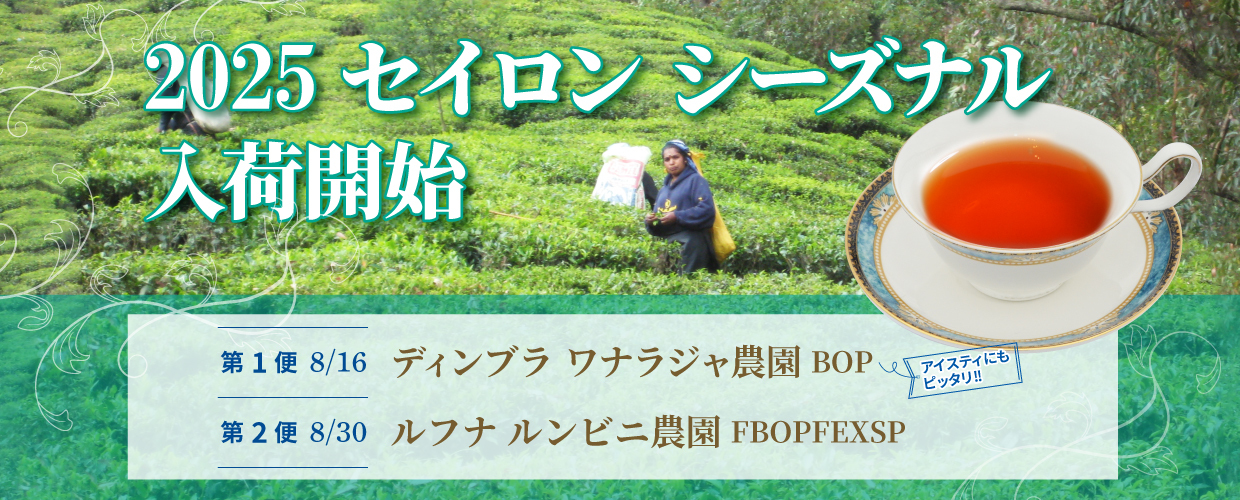 TEA MARKET Gclef Online Store ティーマーケット ジークレフ