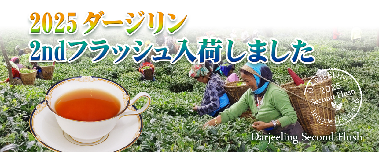 ポスター フランス 紅茶 企業 ダージリン 2025年 セカンドフラッシュ セリンボン茶園 DJ-93